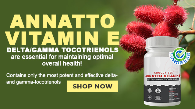 Groovy Bee Annatto Vitamin E Delta Gamma Tocotrienols Softgels