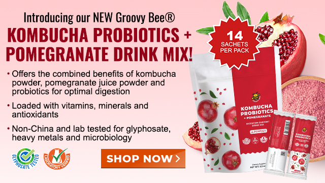 Groovy Bee Kombucha Probiotics plus Pomegranate Drink Mix