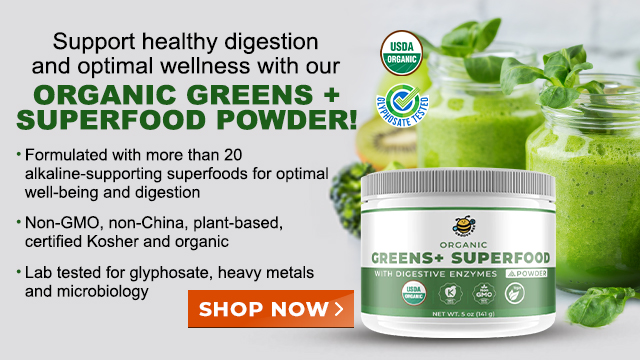 Groovy Bee Organic Greens+ Superfood Powder with Digestive Enzymes