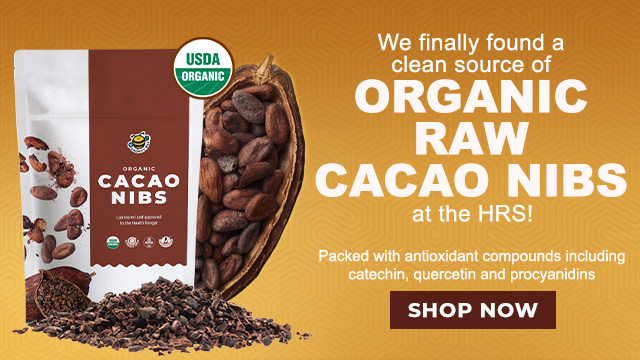 Groovy Bee Organic Raw Cacao Nibs