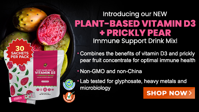 Groovy Bee Vitamin D3 plus Prickly Pear Drink Mix