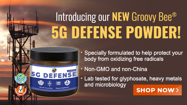 Groovy Bee 5G Defense Powder