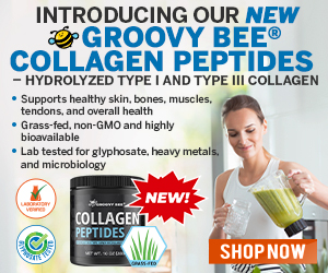 Groovy-Bee-Collagen-Peptides-MR.jpg