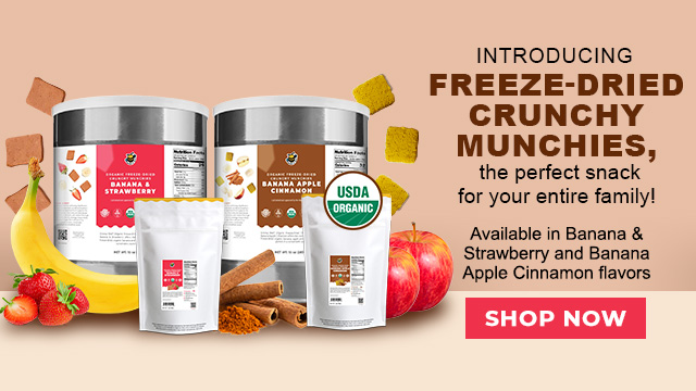 Groovy Bee - Freeze-Dried Crunchy Munchies