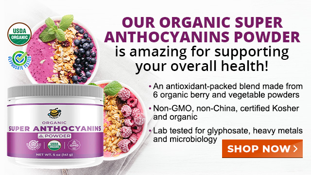 Groovy Bee Organic Super Anthocyanins