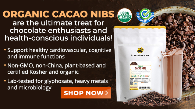 Groovy Bee Organic Raw Cacao Nibs