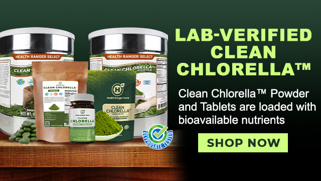 Clean Chlorella Powder and Tablets