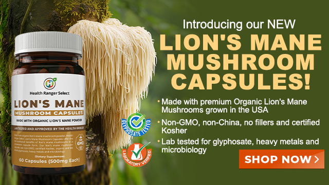 Lion's Mane Mushroom Capsules