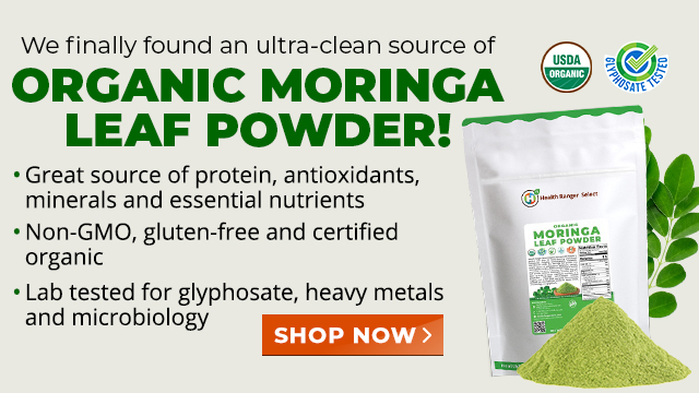 Organic Moringa Leaf Powder