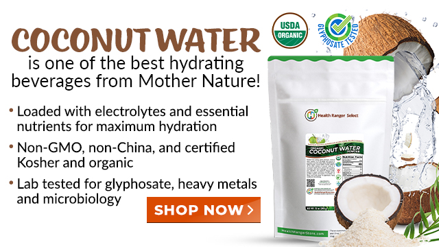 Organic Coconut Water Powder