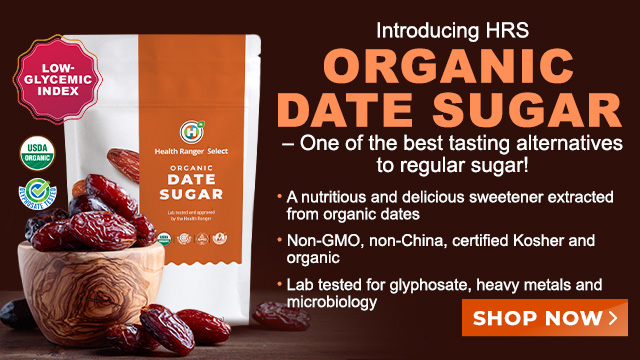 Organic Date Sugar