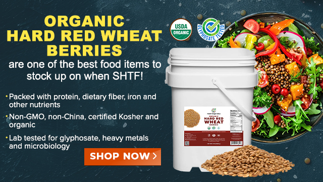 Mega Bucket - Organic Hard Red Wheat Berries