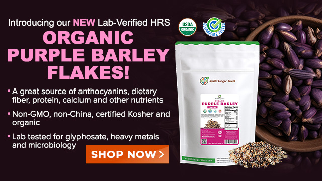 Organic Purple Barley Flakes