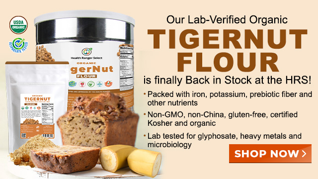 Organic Tigernut Flour