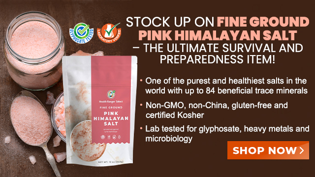 Pink Himalayan Salt - Fine Ground