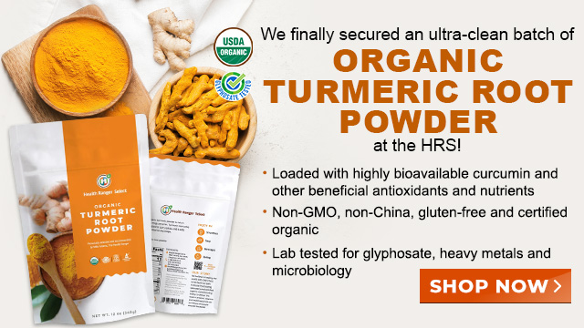 Turmeric Root Powder