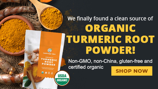 Turmeric Root Powder