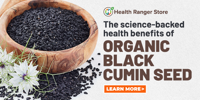 Black Cumin Seed