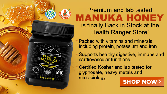 Premium Manuka Honey