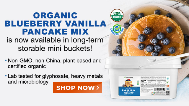 Mini Bucket - Organic Blueberry Vanilla Pancake Mix