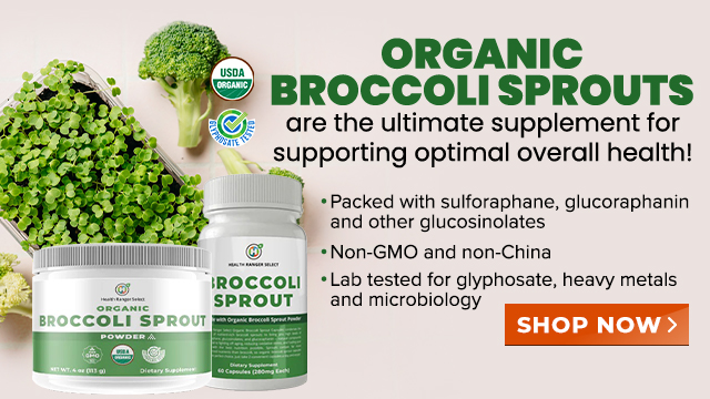 Organic Broccoli Sprouts Powder and Capsules