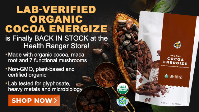 Groovy Bee Organic Cocoa Energize