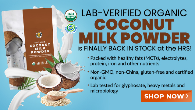 Groovy Bee Organic Coconut Milk Powder