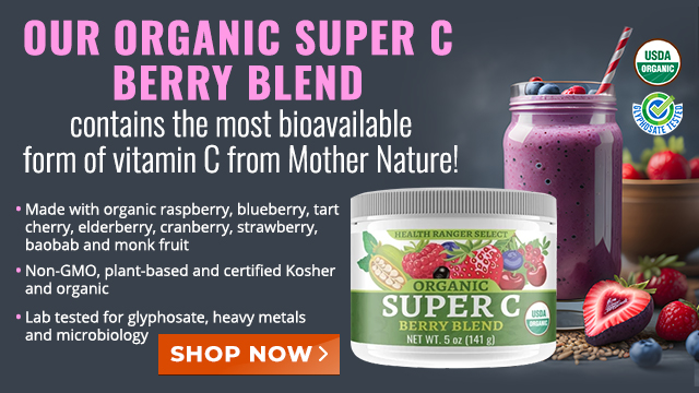 Organic Super C Berry Blend