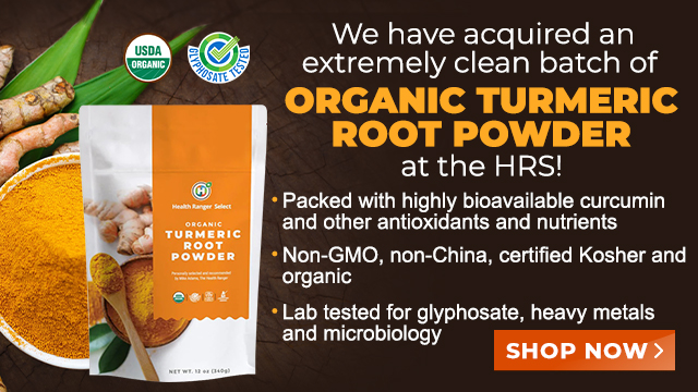 Turmeric Root Powder