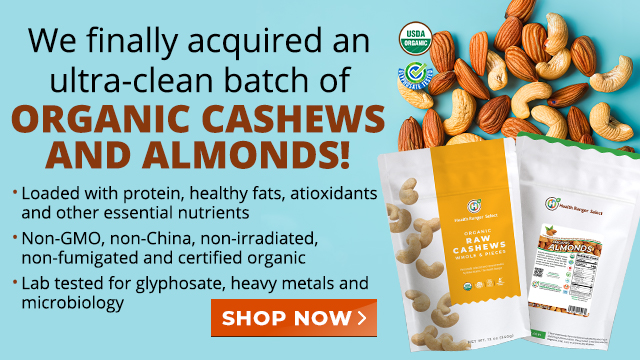 Organic Raw Almonds and Cashews