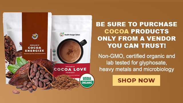 Organic Cocoa Products