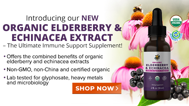 Organic Elderberry and Echinacea