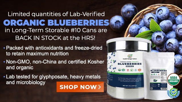 Freeze-Dried Organic Whole Blueberries