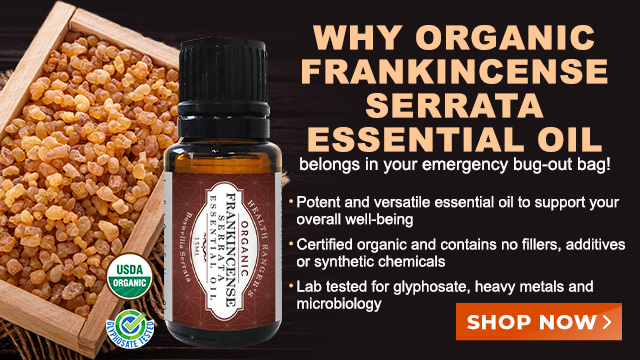 Organic Frankincense Serrata Essential Oil