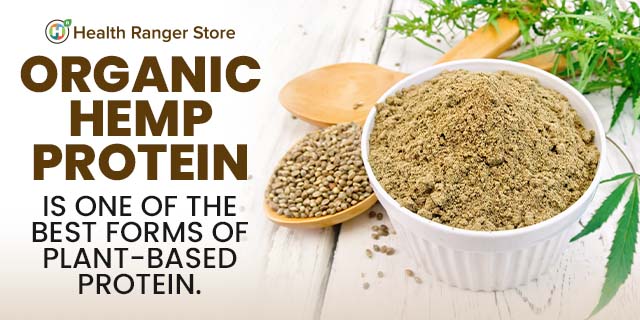 Hemp Protein