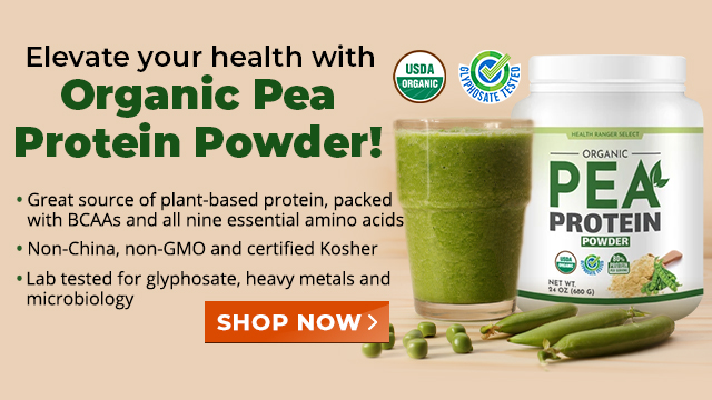 Organic Pea Protein Powder