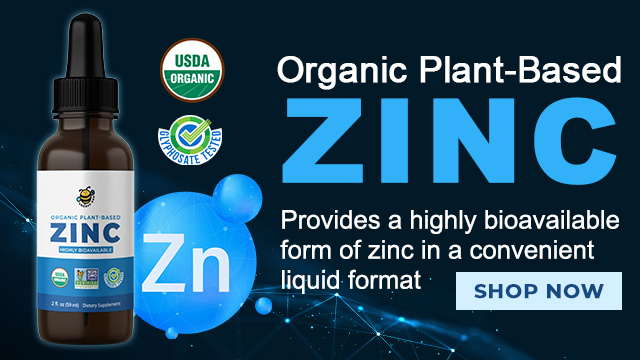 Groovy Bee - Organic Plant-Based Zinc