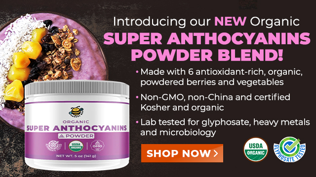 Groovy Bee Organic Super Anthocyanins