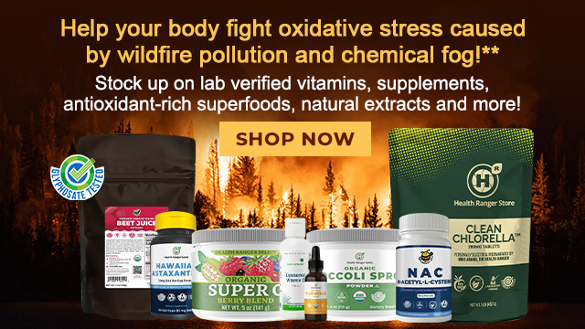 Oxidative Stress Collection