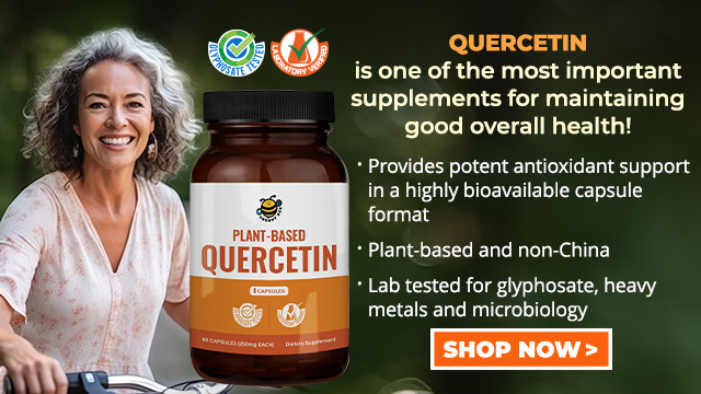 Groovy Bee - Plant-Based Quercetin Capsules