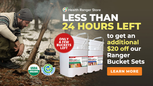 Ranger Bucket Set - Limited Time