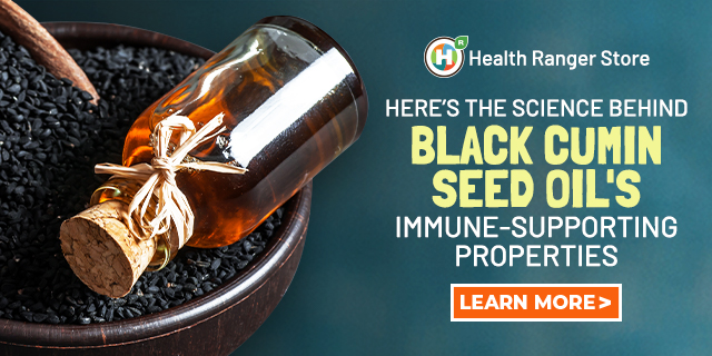 Black Cumin Seed Oil