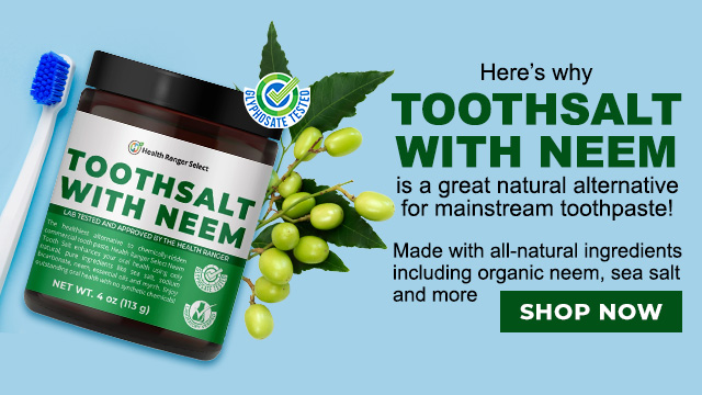 Health Ranger Select Tooth Salt with Neem