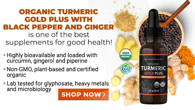 Organic Turmeric Gold Plus with Black Pepper and Ginger