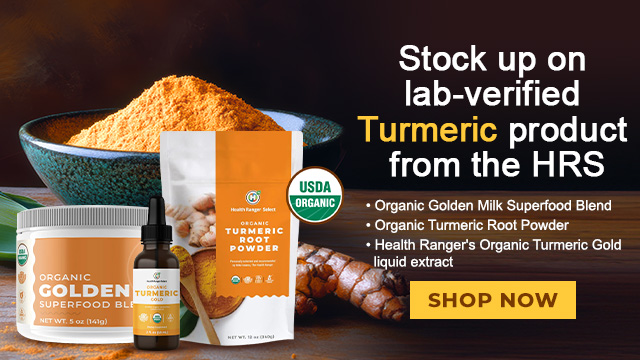 Turmeric Root Powder