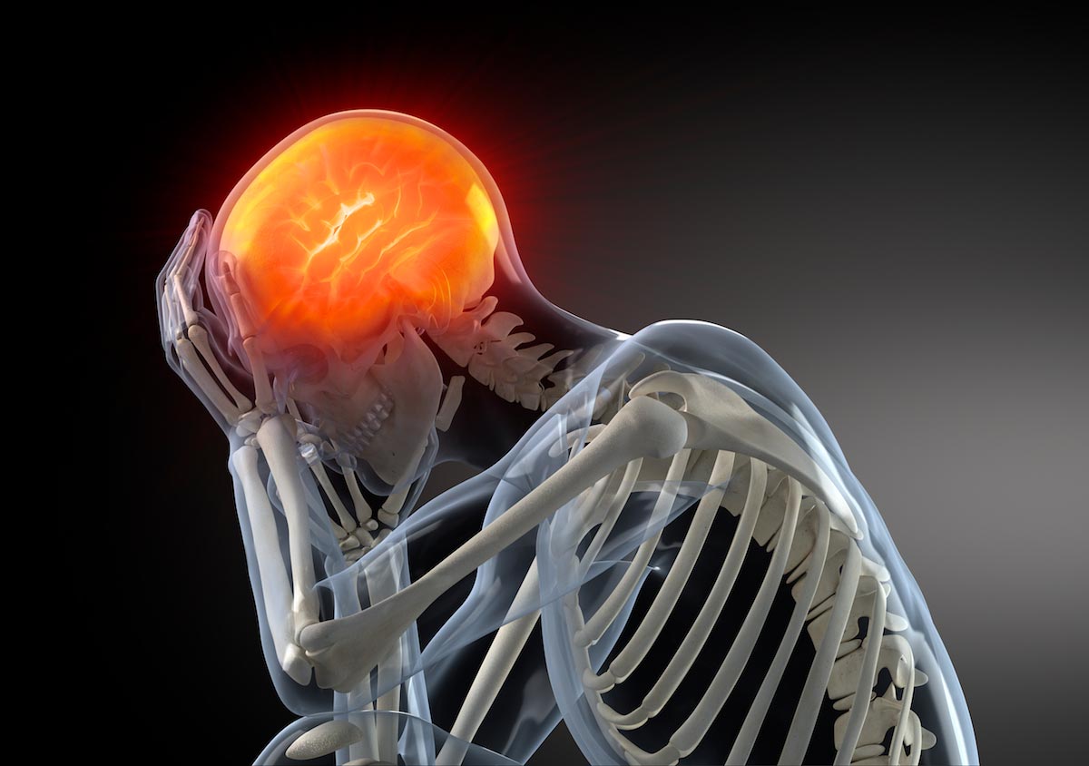 3d-Model-Human-Brain-Skeleton-Pain