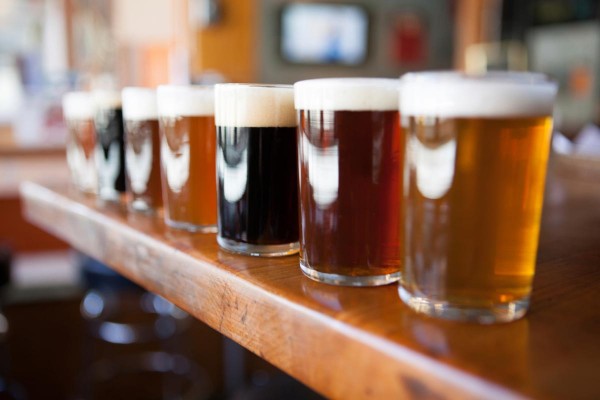 Row-Of-Beer-Tasters-Lined-Up-In-A-Brewpub