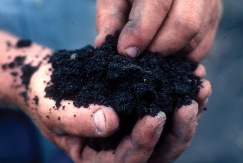 Image: This no-till gardening method will help you ‘feed’ your soil