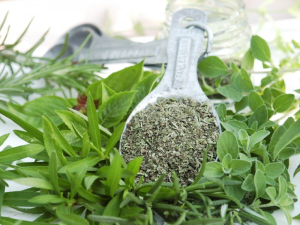 Image: Oregano oil inhibits cancer growth, removes warts and more