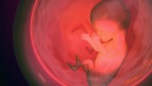 3d-Render-Embryo-Baby-Unborn